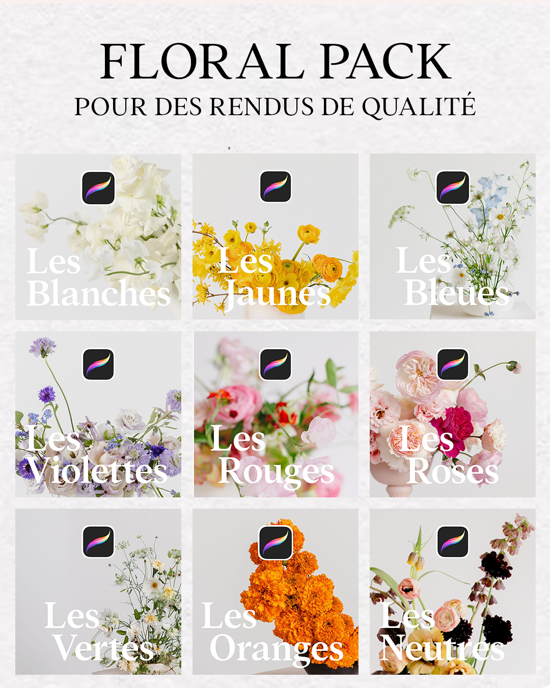 Floral Pack Procreate – Les Oranges