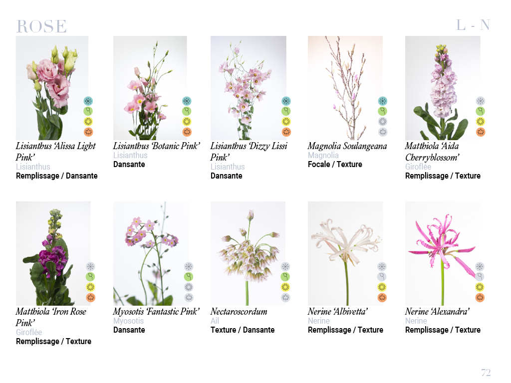 E-book - Art floral : les ingrédients de ta recette florale
