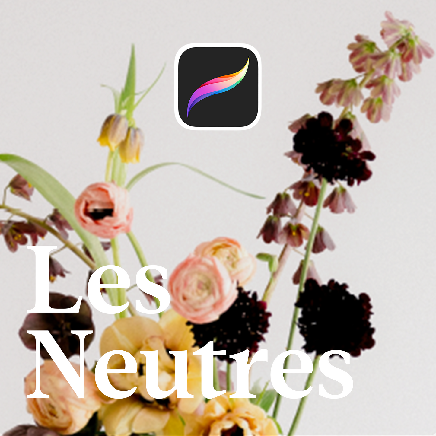Floral Pack Procreate – Les Neutres