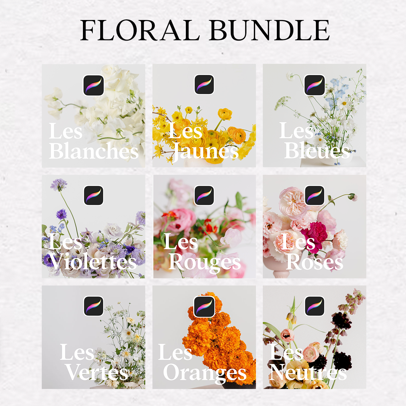 Floral Bundle Procreate – Collection Complète