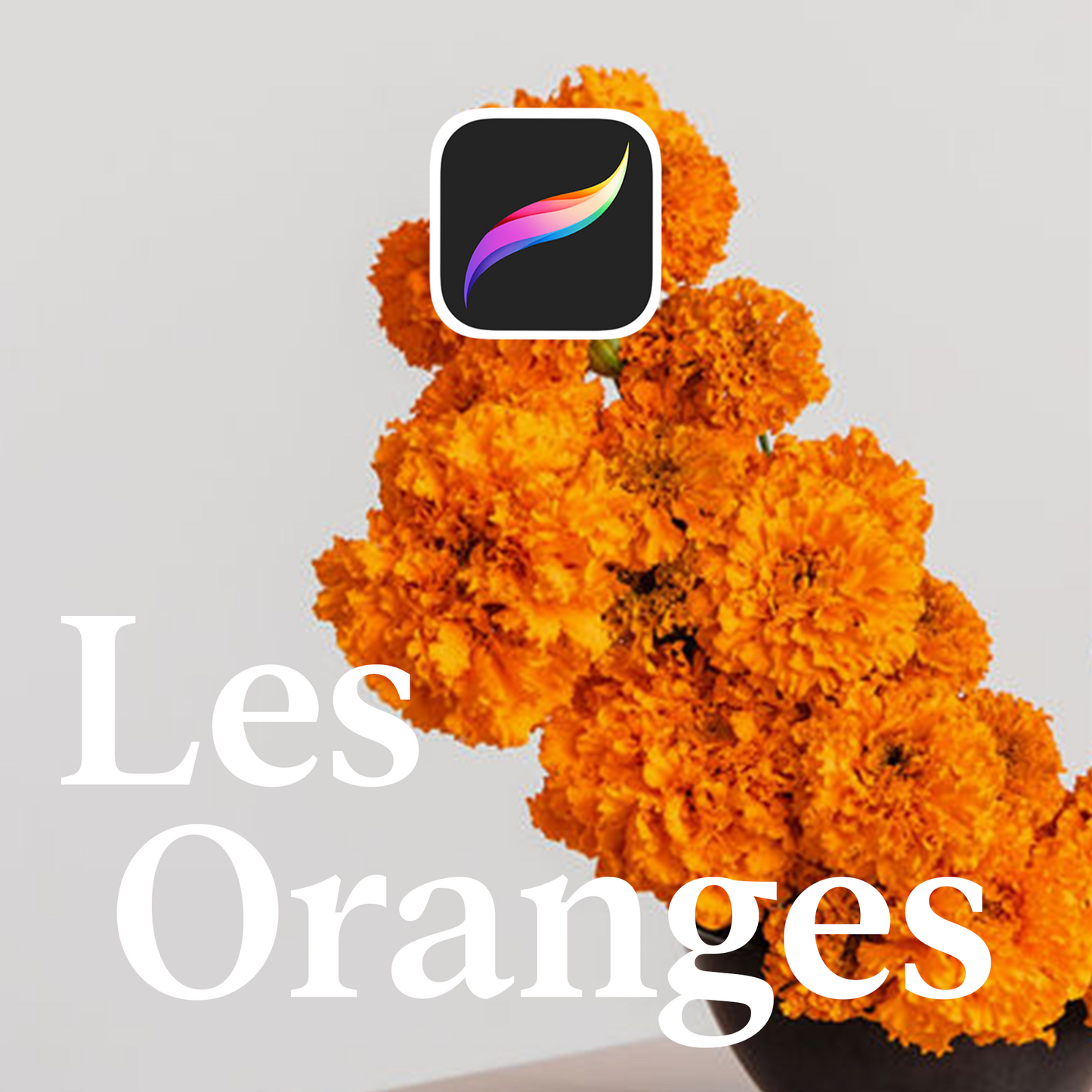 Floral Pack Procreate – Les Oranges