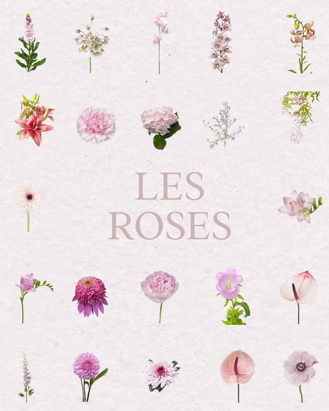 Floral Bundle Procreate – Collection Complète