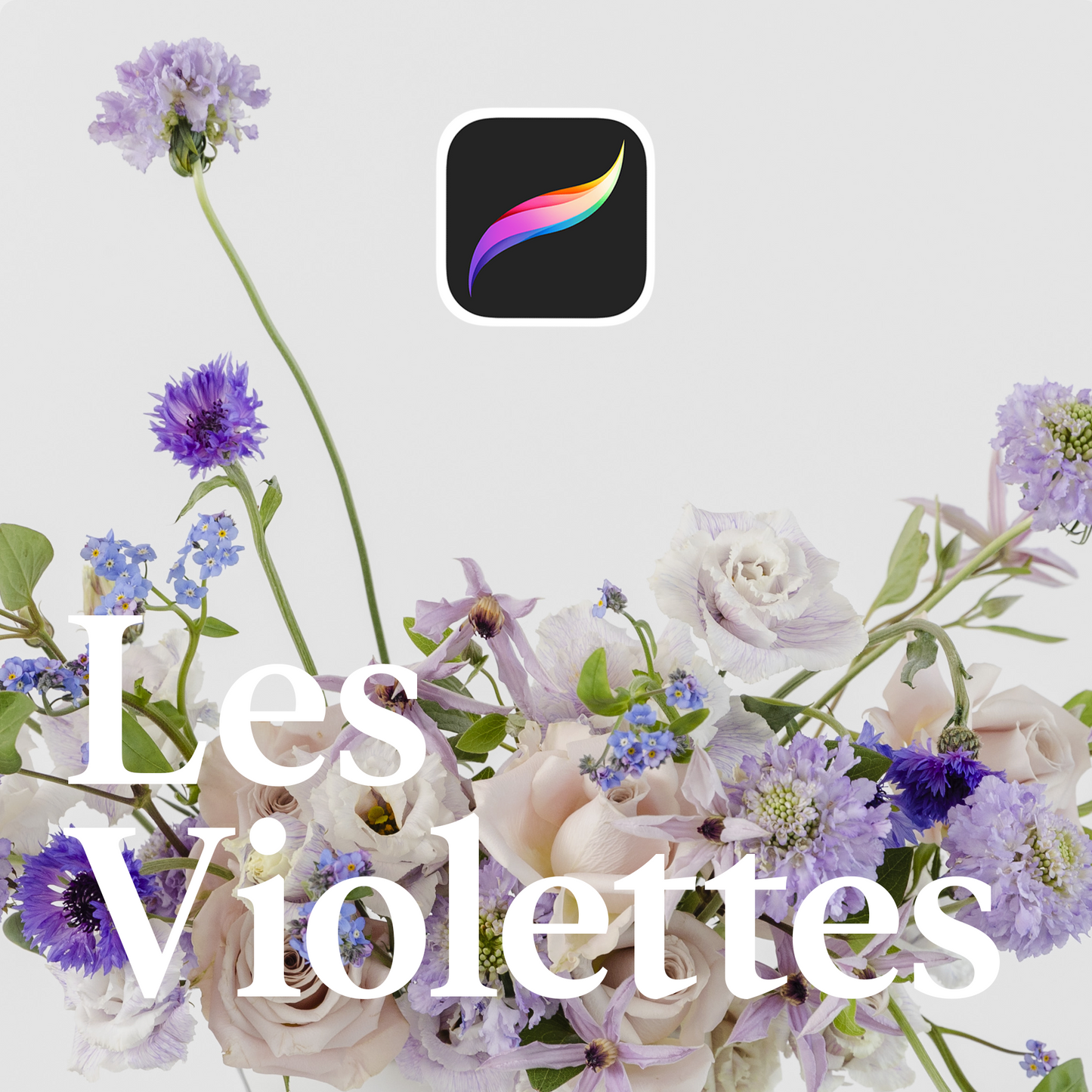 Floral Pack Procreate – Les Violettes