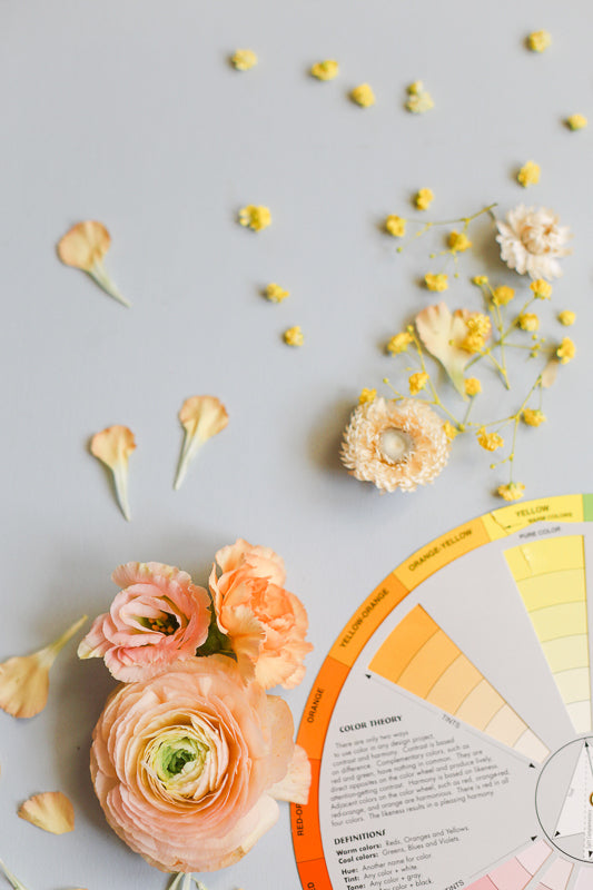E-book sur le Cercle Chromatique Floral